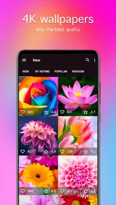 Flower Wallpapers 4K android App screenshot 4